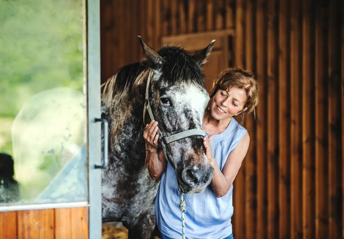 Equestrian Business Consulting | The Equestrian Operator